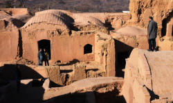 La semilla de la higuera sagrada