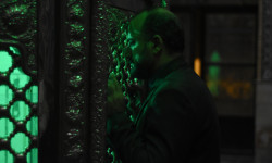 La semilla de la higuera sagrada