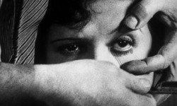 The Story of Looking