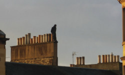 The Story of Looking