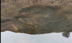 The Story of Looking