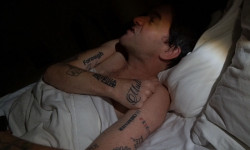 The Story of Looking