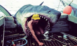 Tiburón: La historia definitiva 