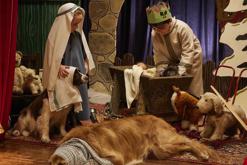 Todas las criaturas grandes y pequeñas. Especial Navidad 2025 foto crítica.