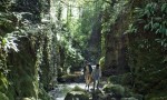 Todos los caminos de Dios