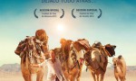 El viaje de tu vida
