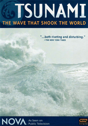 Tsunami: La ola que conmocionó al mundo (2024)
