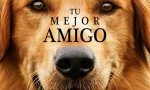 Tu mejor amigo