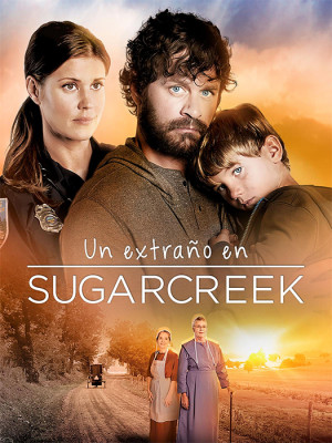 Un extraño en Sugarcreek (2014)