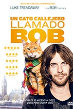 Un gato callejero llamado Bob