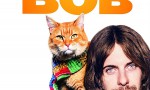 Un gato callejero llamado Bob