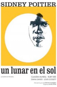 Un lunar en el sol