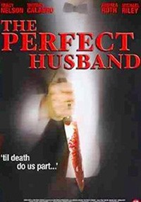 El marido perfecto (2004)