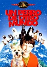 Un perro de otro mundo (2003)