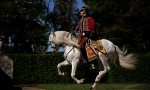 Un seductor a la francesa