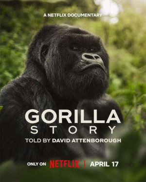 Una historia de gorilas contada por David Attenborough