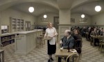 Una paloma se posó en una rama a reflexionar sobre la existencia