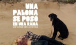 Una paloma se posó en una rama a reflexionar sobre la existencia