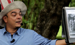 Under The Banyan Tree