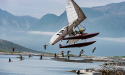 Volando juntos