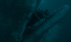 Whalefall