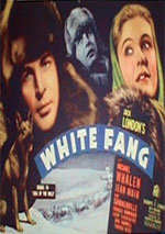 White Fang