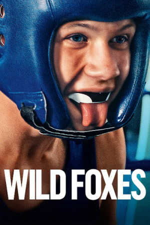 Wild foxes