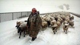 Winter Nomads