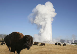 Yellowstone foto crítica.