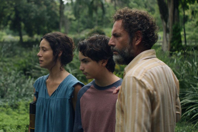 Zafari foto crítica.