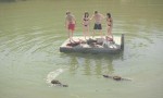 Zombeavers (Castores zombies)