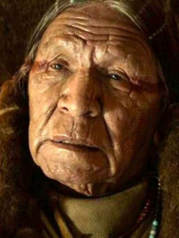 Saginaw Grant