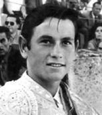 Sebastián Palomo Linares
