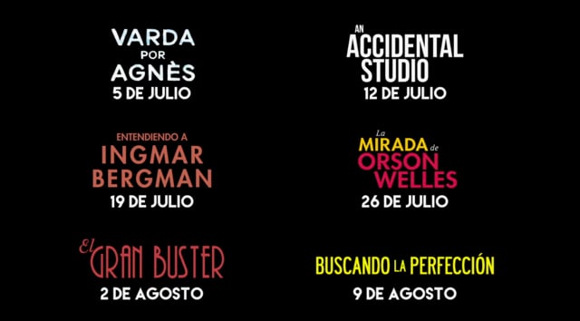 An Accidental Studio