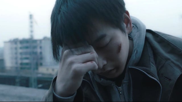 An Elephant Sitting Still