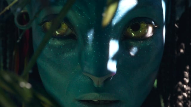 Avatar: El sentido del agua