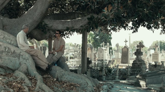 Ciudad de los muertos