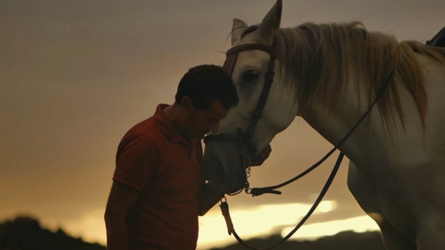 El caballo español, el origen