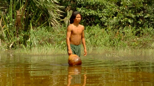 El canto de la selva