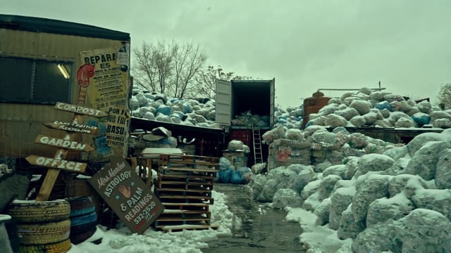 El cuarto reino. El reino de los plásticos