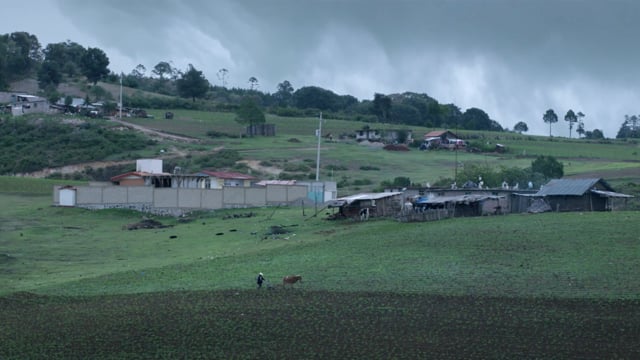 El eco