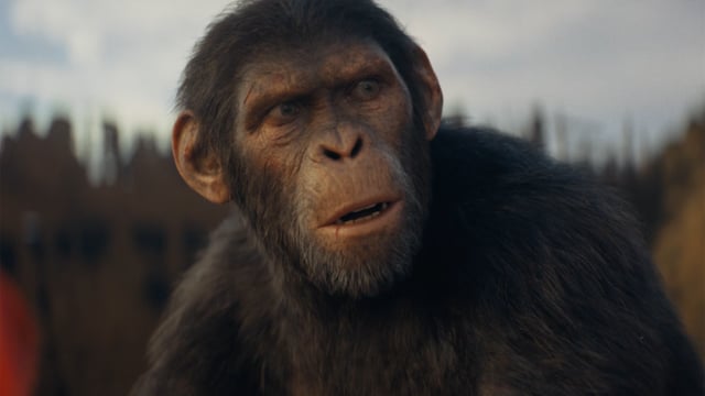 El reino del Planeta de los Simios