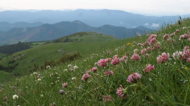 Entre montañas