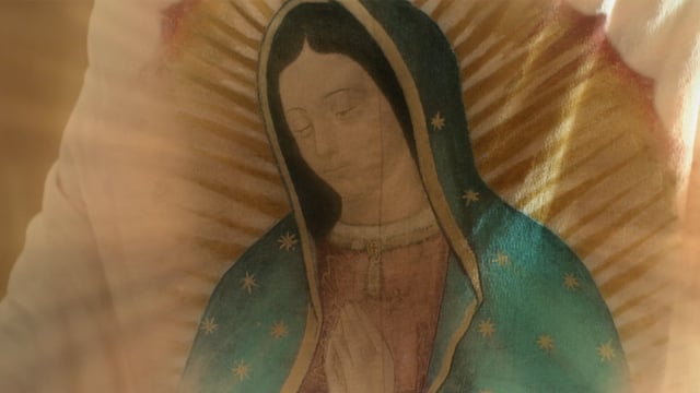 Guadalupe: Madre de la humanidad