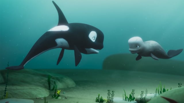 Katak, la pequeña ballena