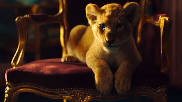 King, mi pequeño rey