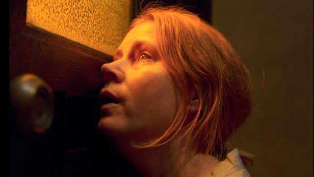 La mujer en la ventana