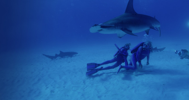 Las maravillas del mar