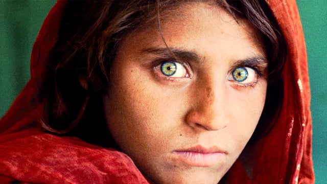 McCurry, las búsqueda del color