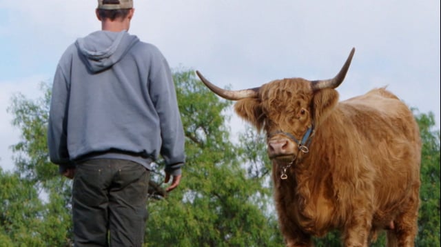 Mi gran pequeña granja